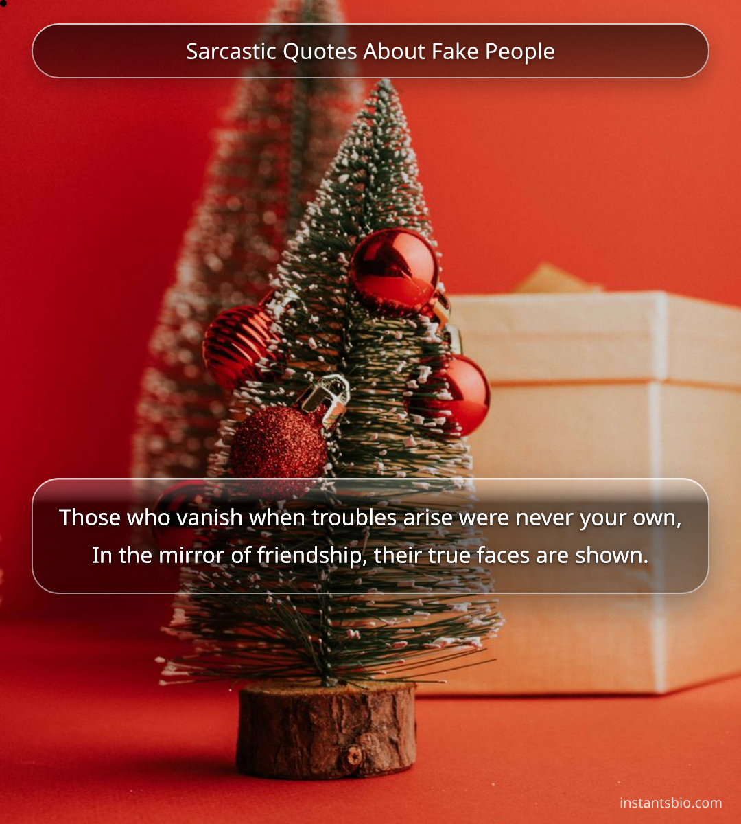Sarcastic Quotes About Fake People