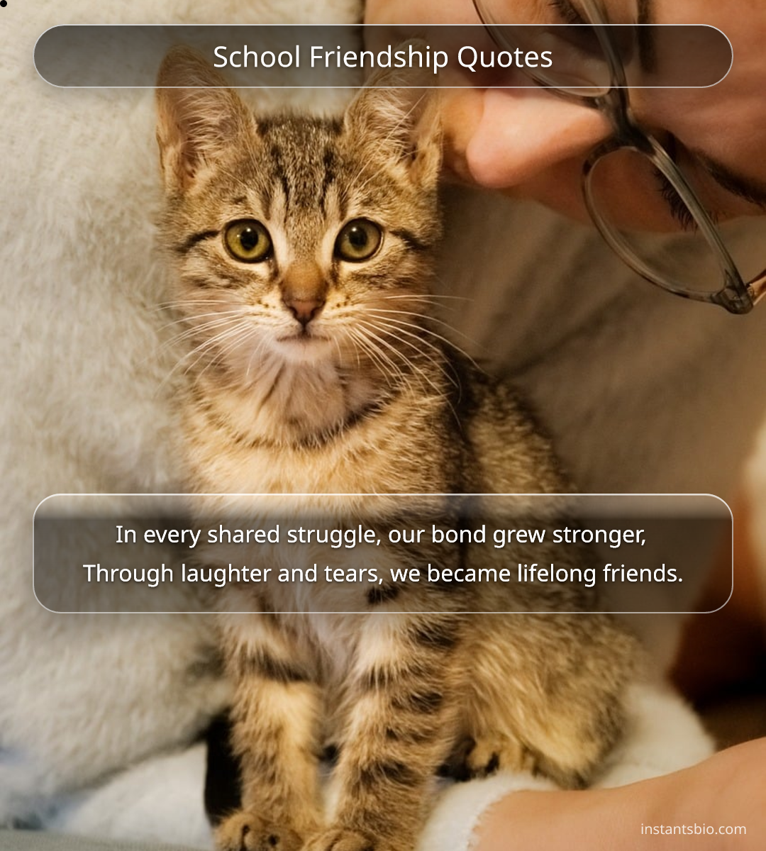 School Friendship Quotes - school quotes