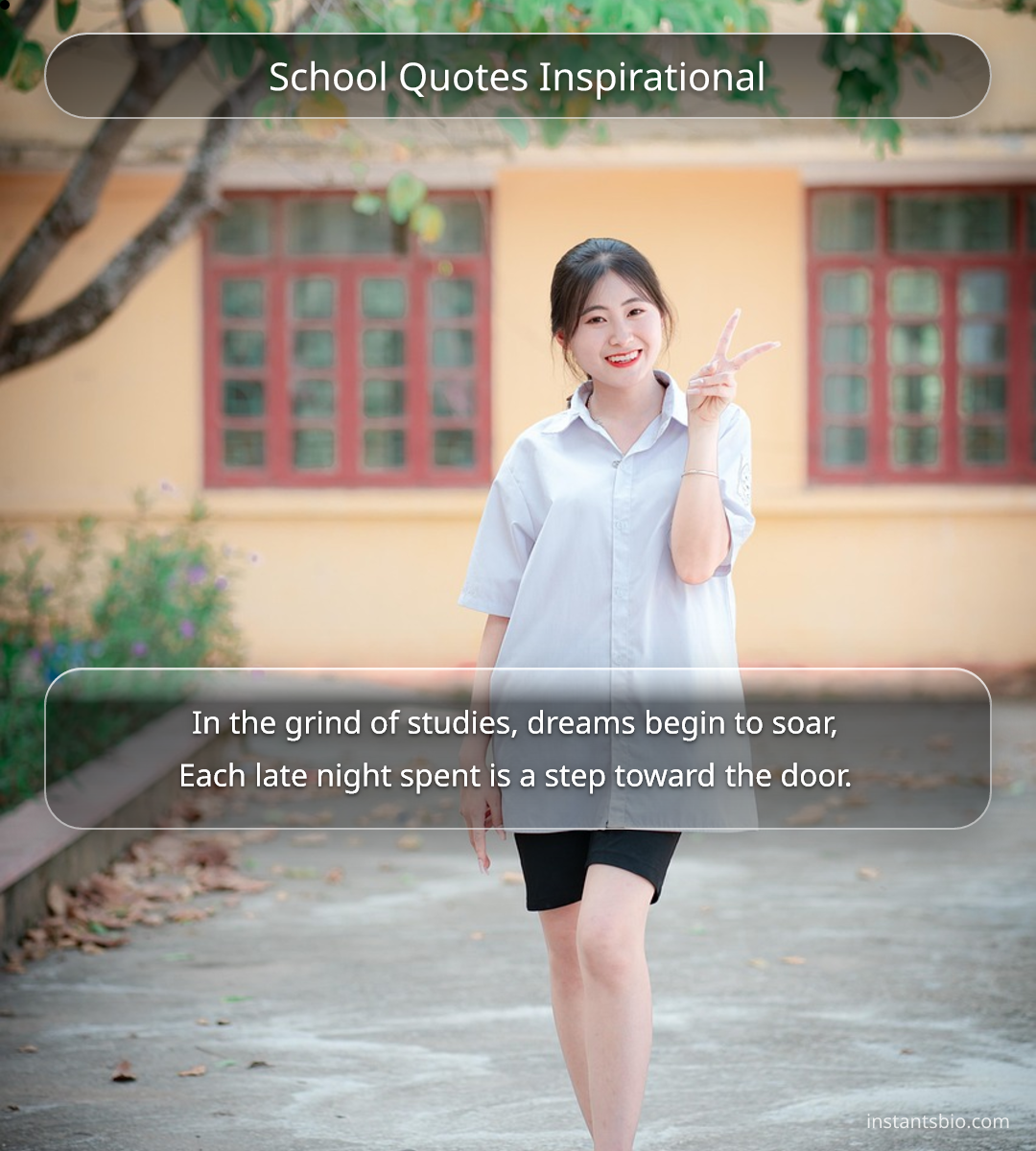 School Quotes Inspirational