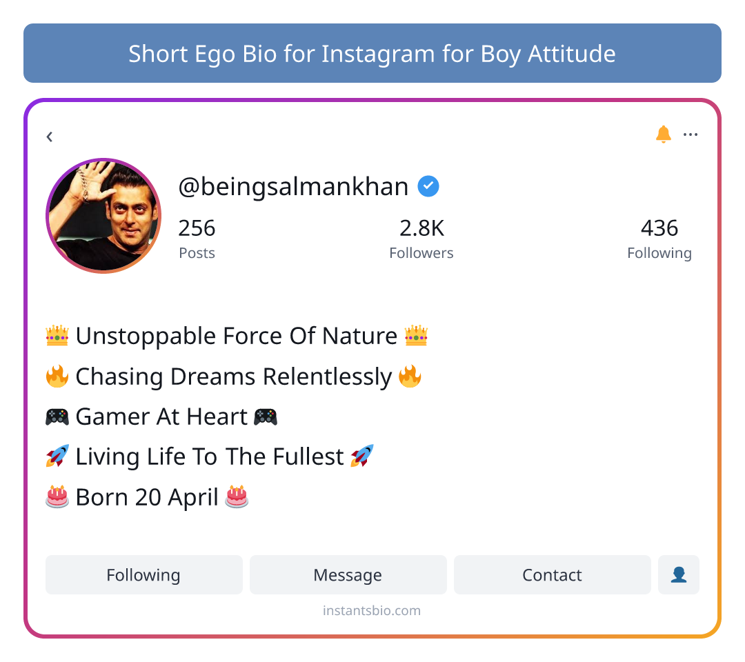 Short Ego Bio for Instagram for Boy Attitude