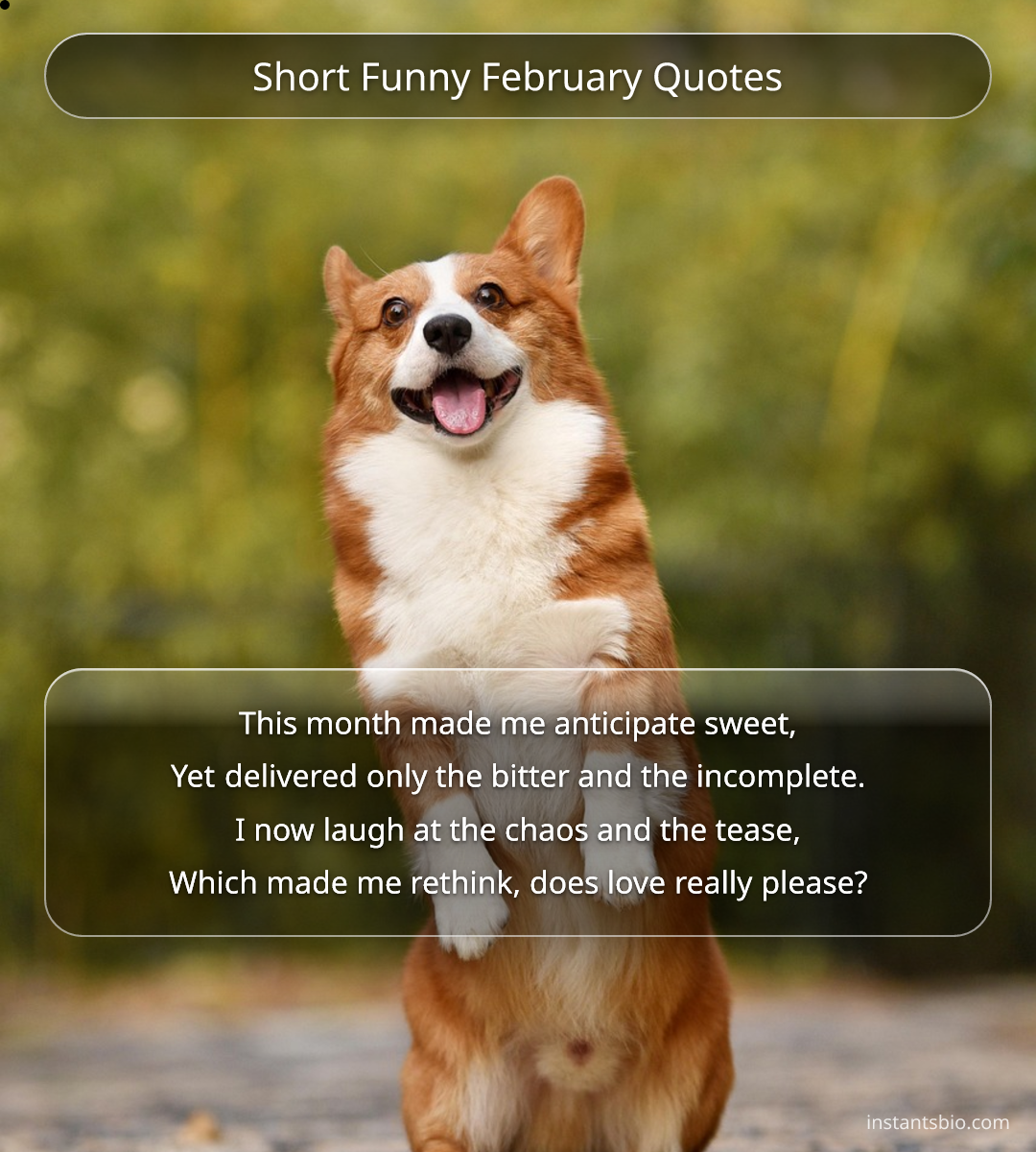 Short Funny February Quotes