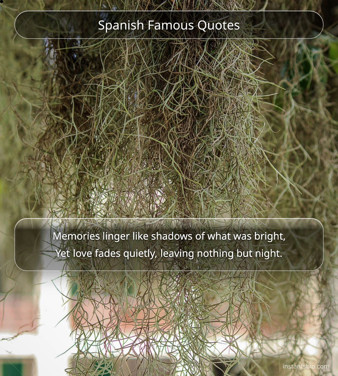 Spanish Famous Quotes - spanish quotes