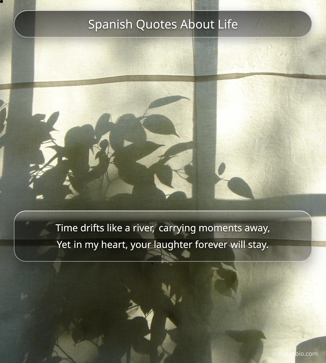 Spanish Quotes About Life