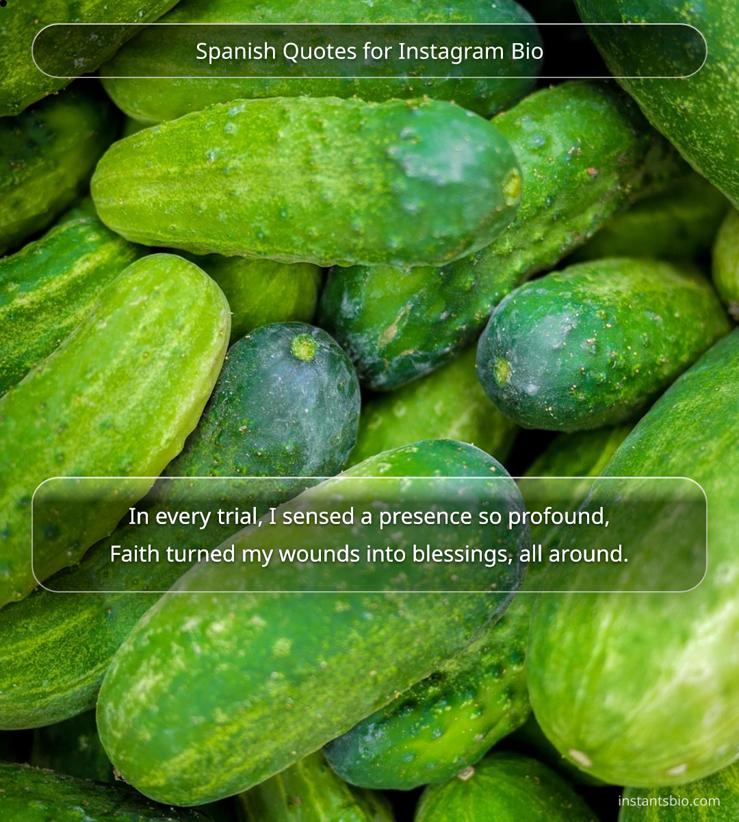 Spanish Quotes for Instagram Bio
