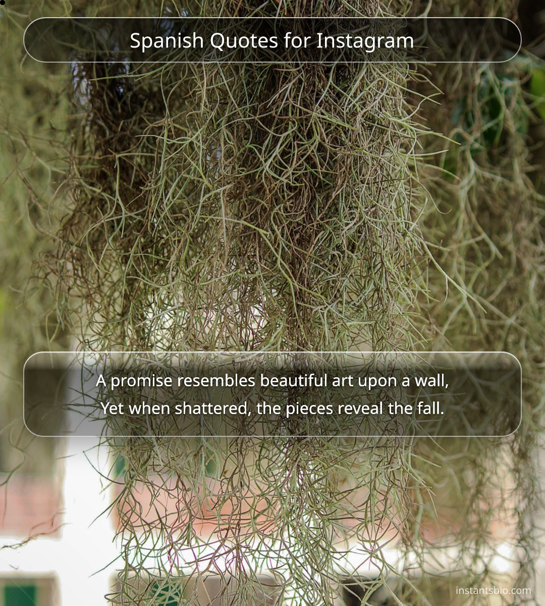 Spanish Quotes for Instagram