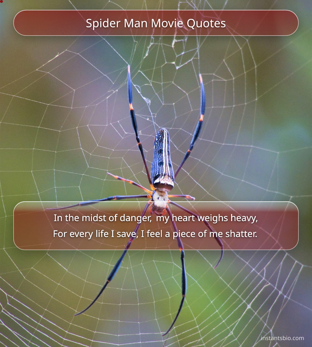 Spider Man Movie Quotes - spiderman quotes