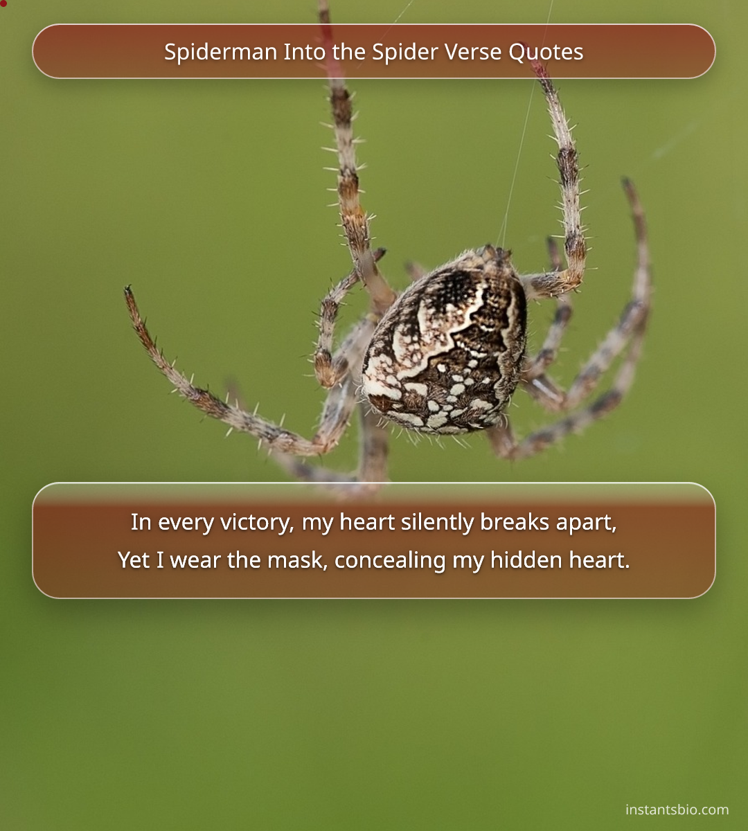 Spiderman Into the Spider Verse Quotes - spiderman quotes
