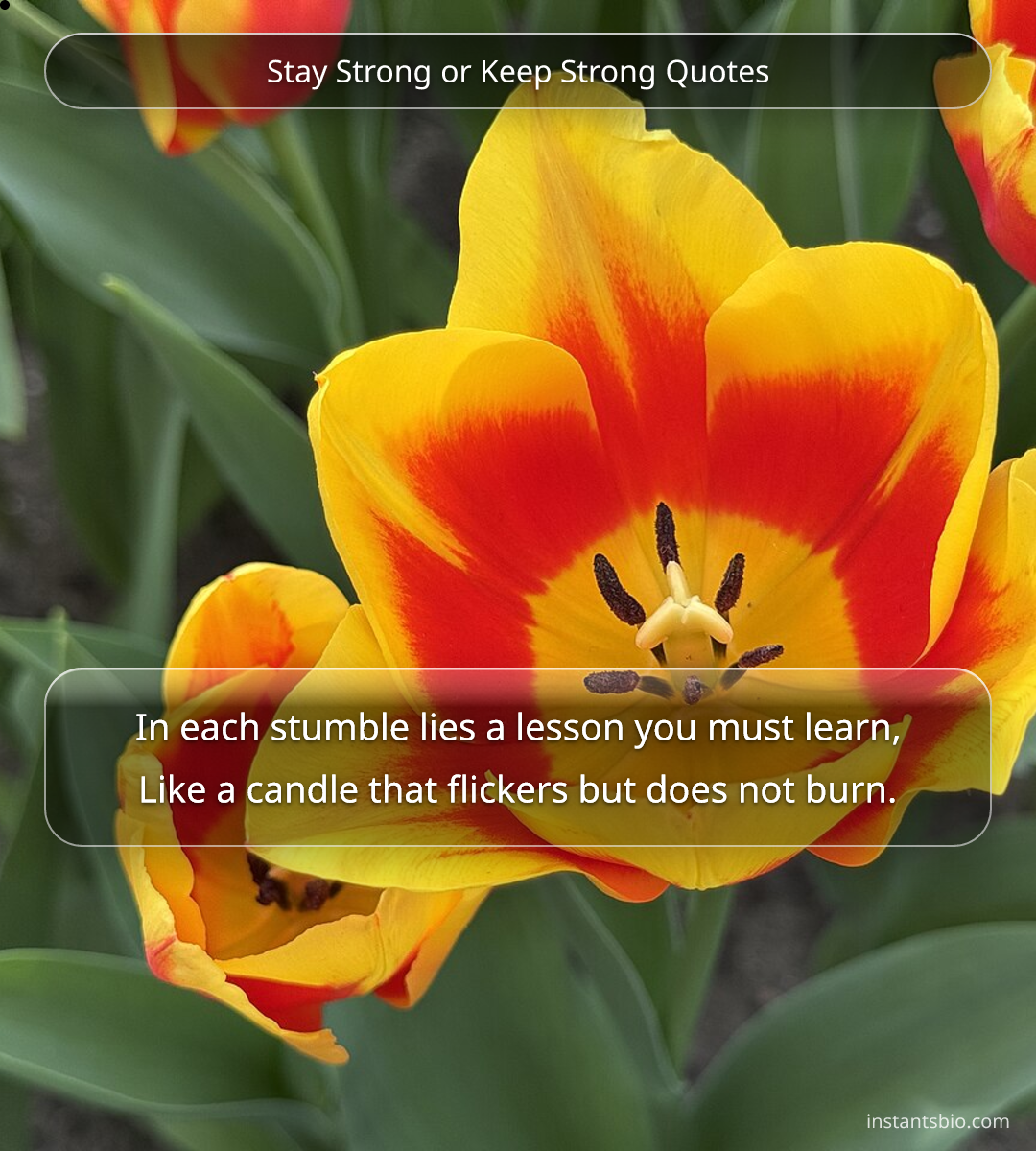 Stay Strong or Keep Strong Quotes - stay strong quotes