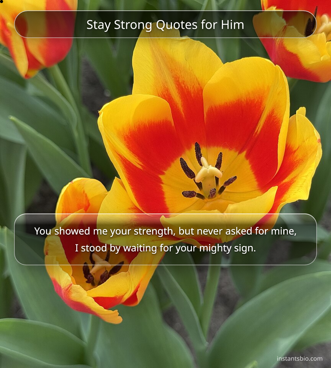 Stay Strong Quotes for Him
