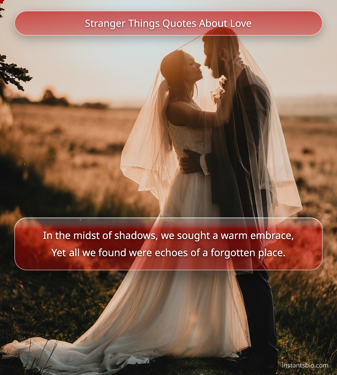 Stranger Things Quotes About Love
