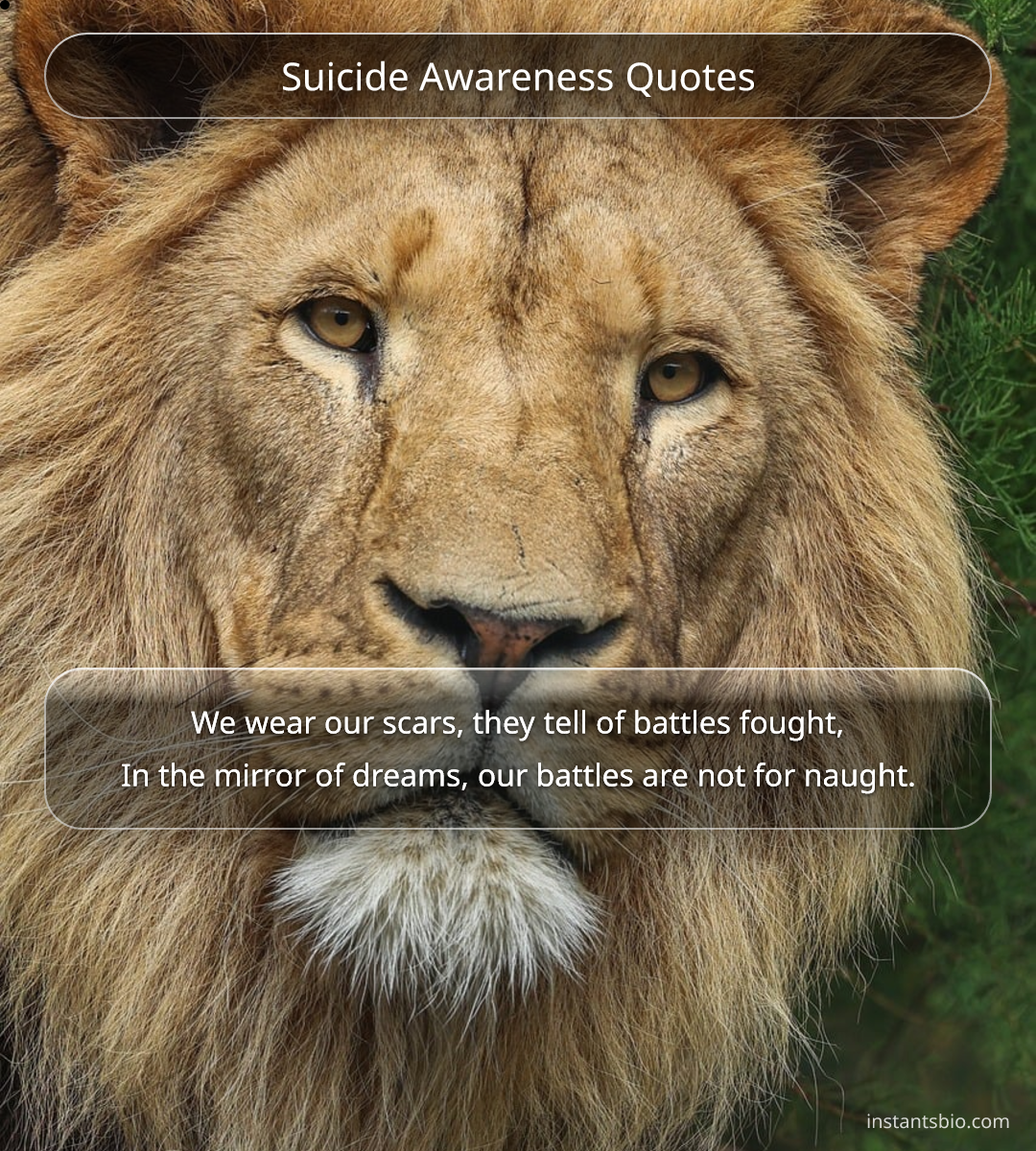 Suicide Awareness Quotes - suicide quotes