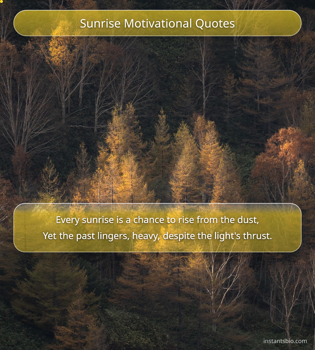 Sunrise Motivational Quotes - sunrise quotes