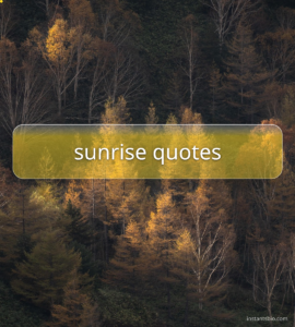 sunrise quotes