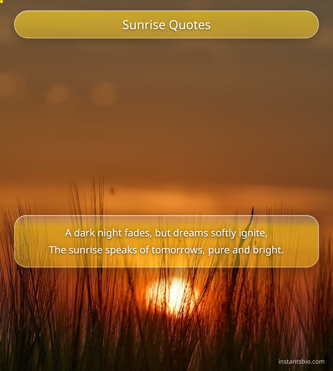 Sunrise Quotes