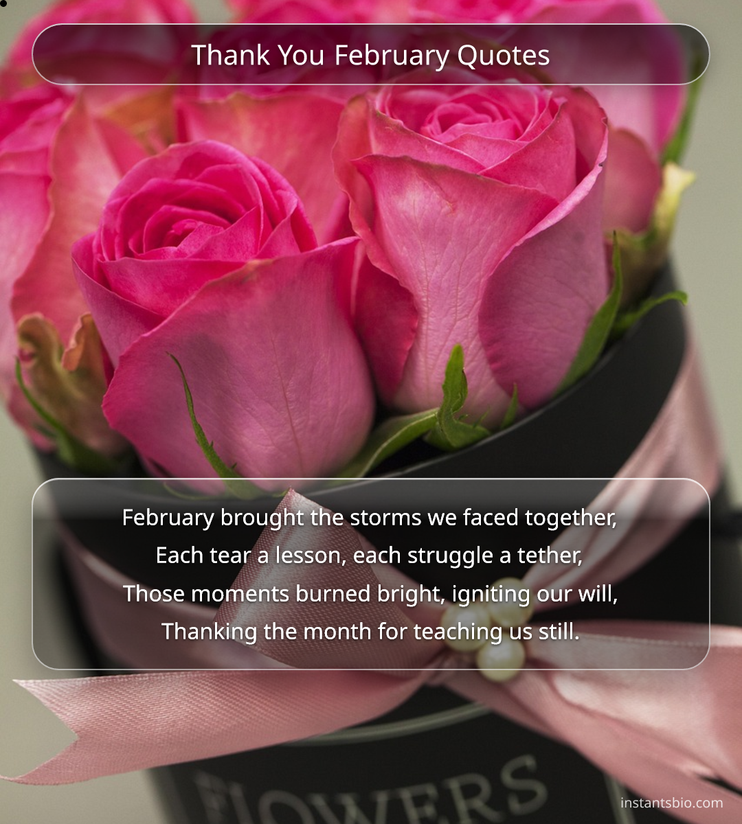Thank You February Quotes