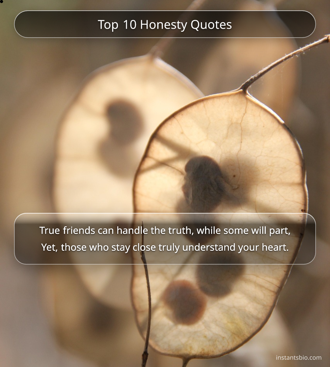 Top 10 Honesty Quotes
