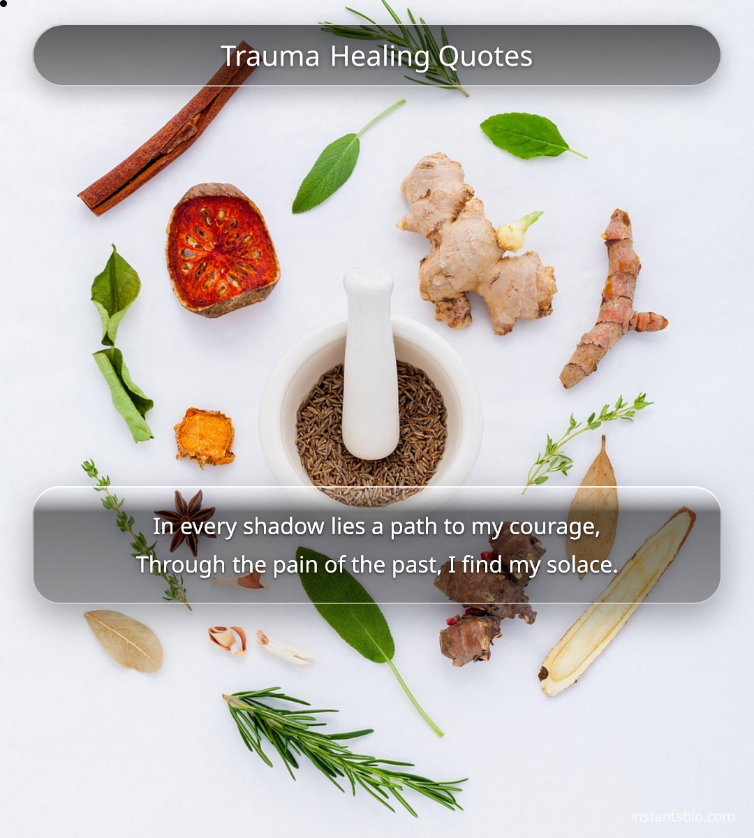 Trauma Healing Quotes - trauma quotes