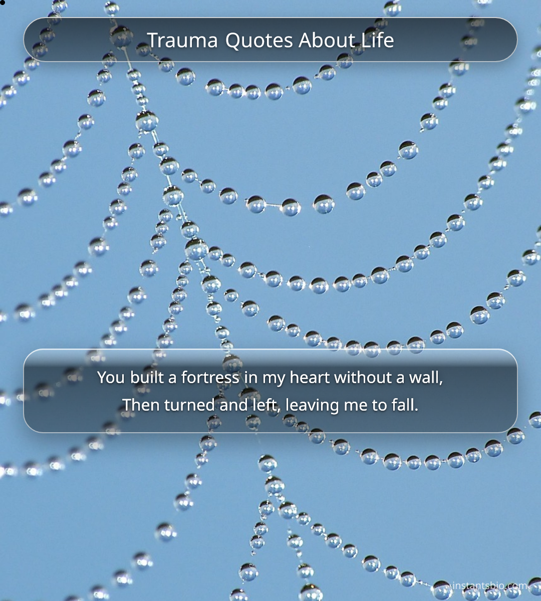 Trauma Quotes About Life