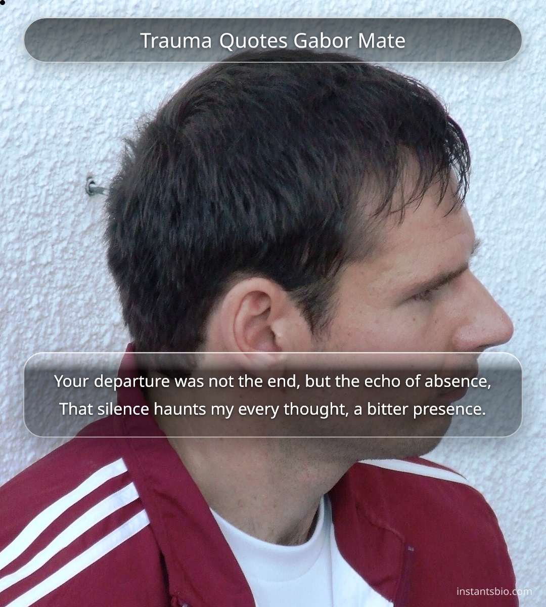 Trauma Quotes Gabor Mate