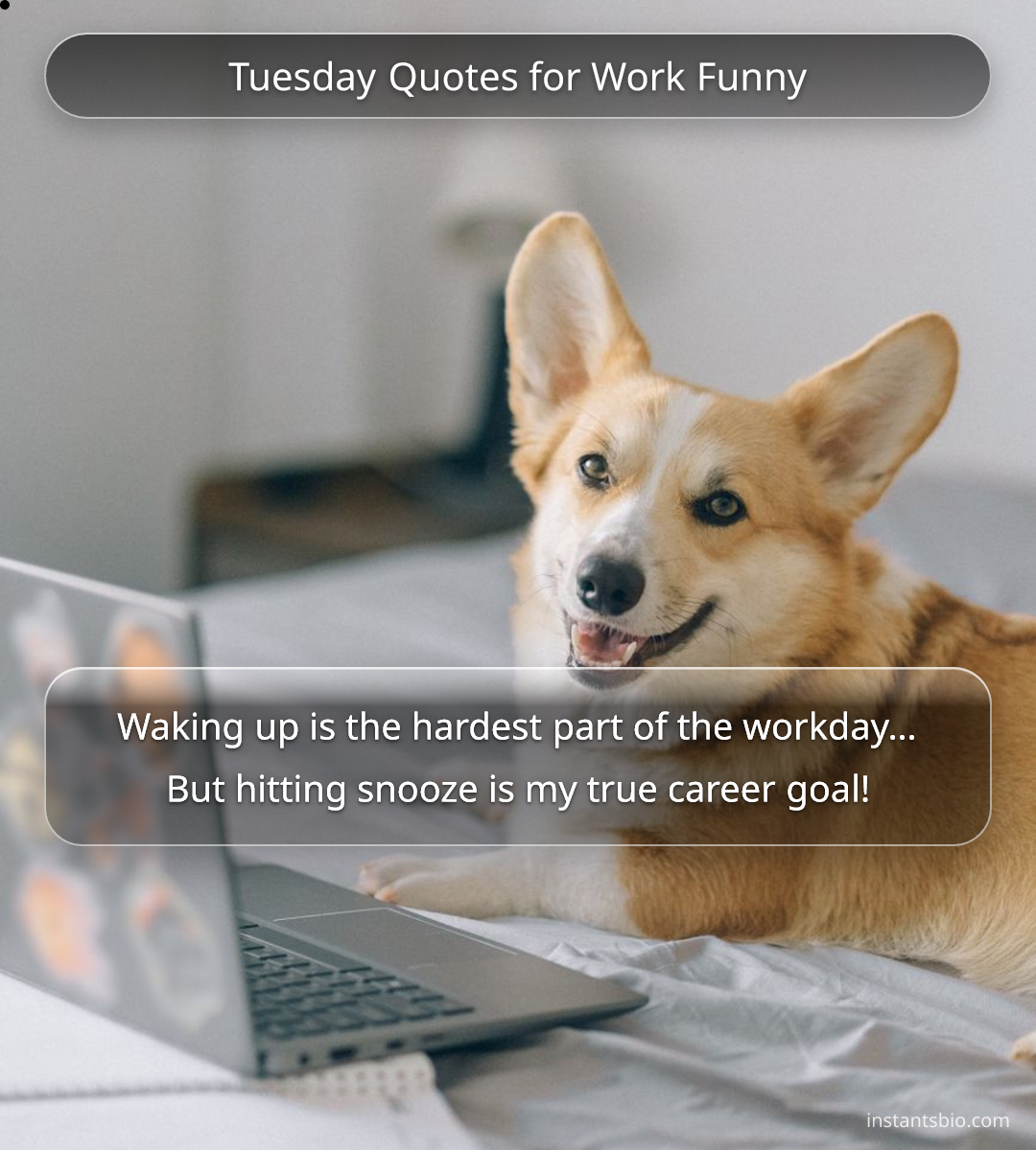 Tuesday Quotes for Work Funny