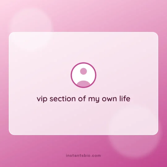 Instagram Vip Bio card: vip section of my own life