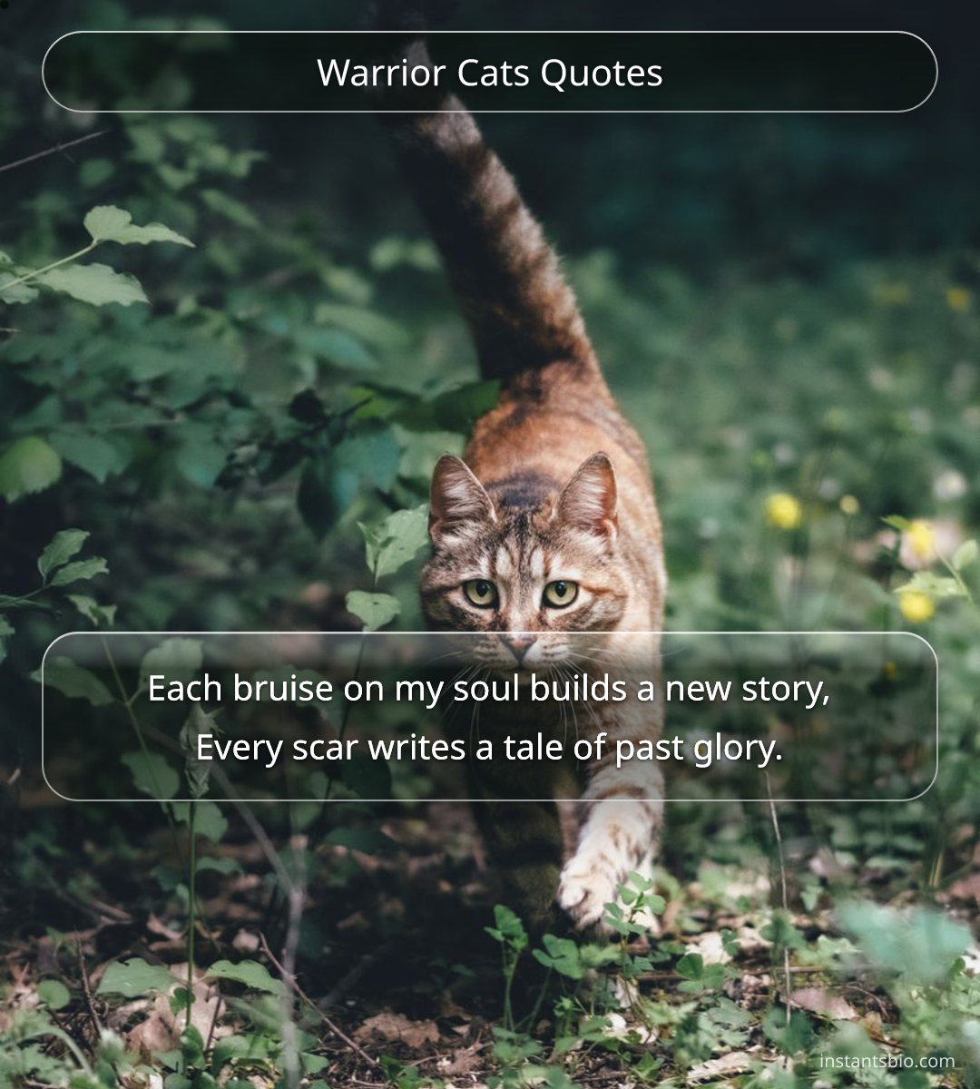 Warrior Cats Quotes - warrior quotes