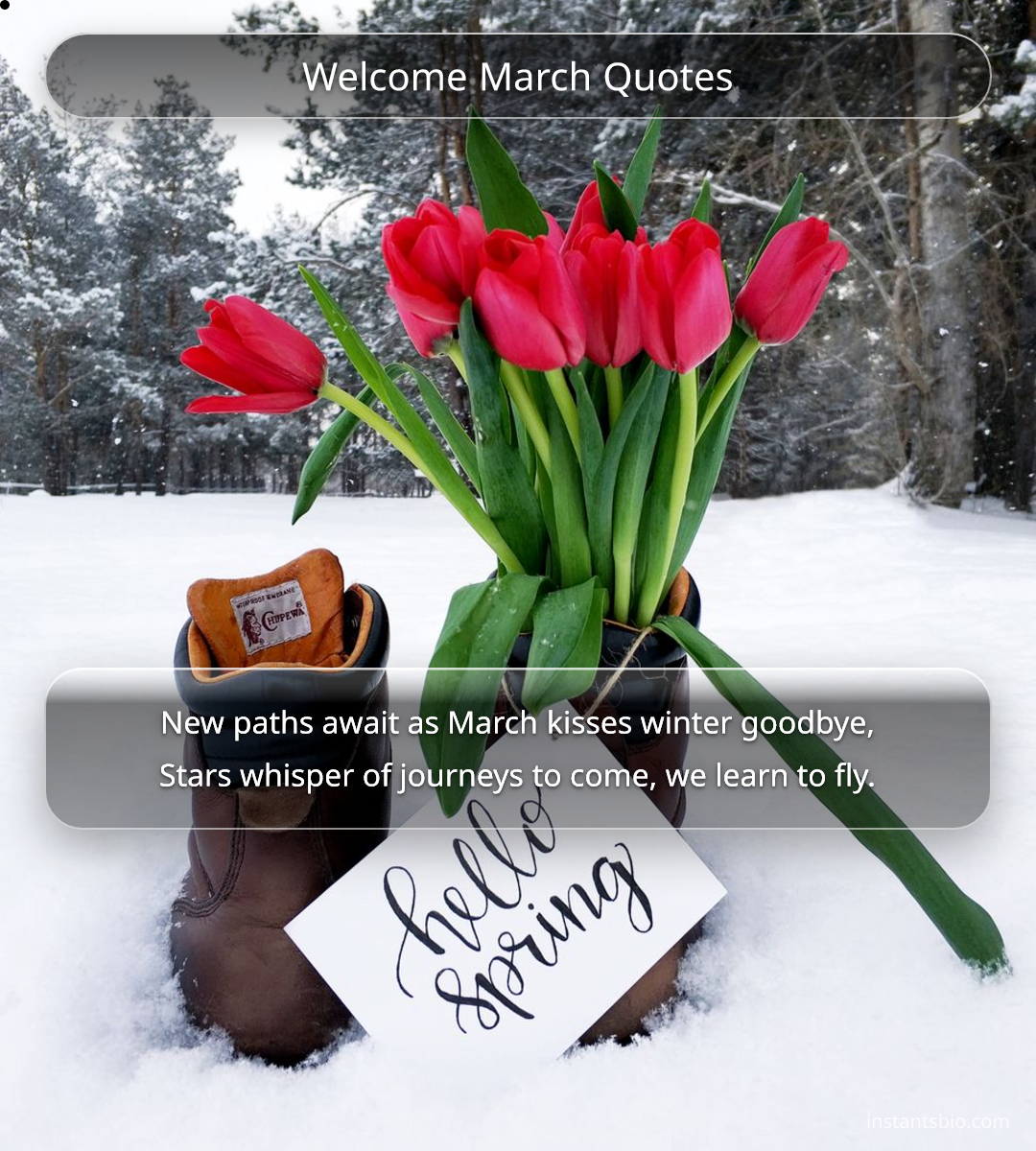 Welcome March Quotes