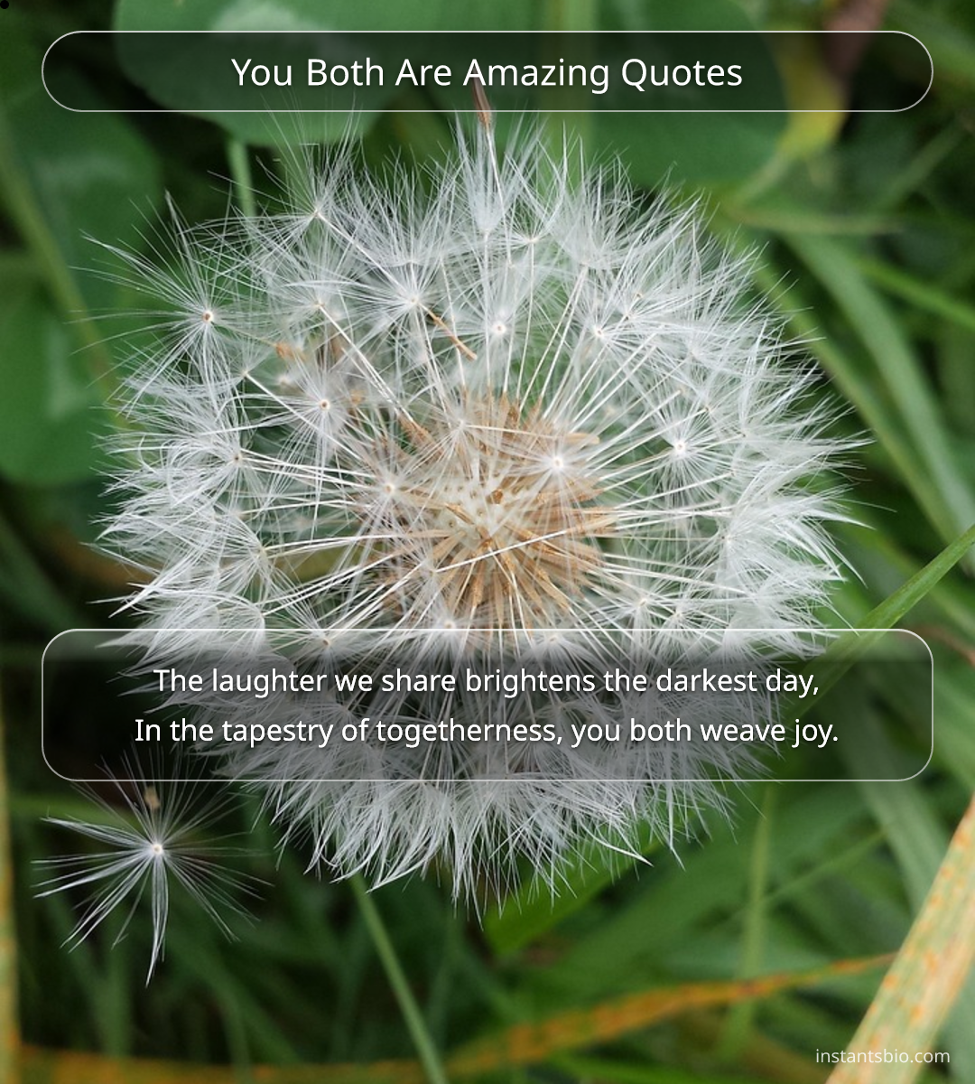 You Both Are Amazing Quotes - you are amazing quotes