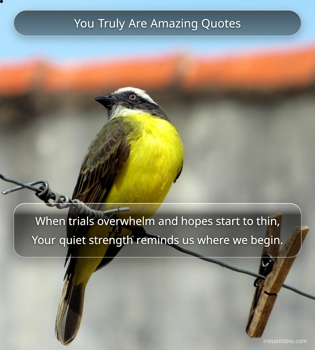You Truly Are Amazing Quotes - you are amazing quotes
