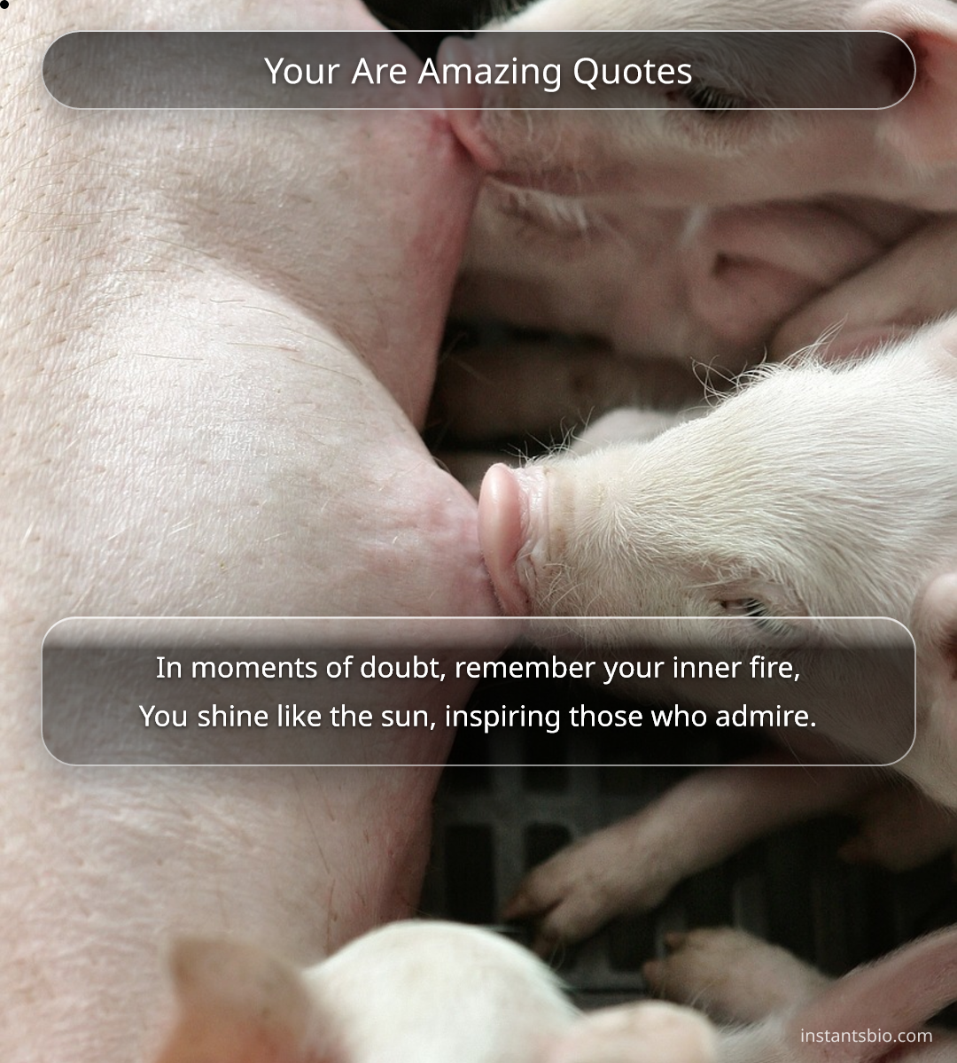 Your Are Amazing Quotes - you are amazing quotes